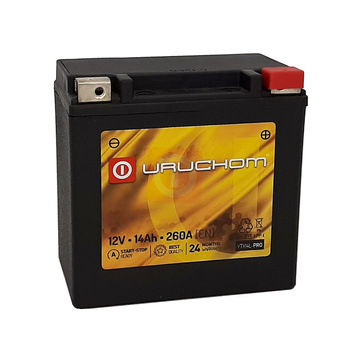 Akumulator Wzmocniony Uruchom YTX14L-PRO  14Ah 260A AGM YTX14L-BS